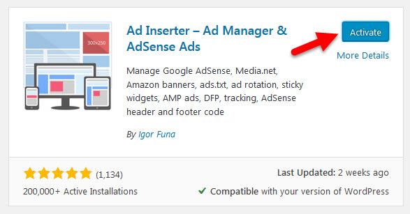 Activate button for WordPress Ad Inserter plugin