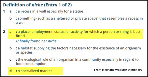 Dictionary definition of the word niche