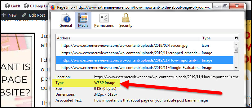 View Image Info Showing WEBP Image Type