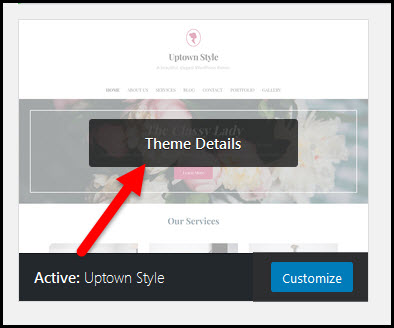 active theme details button
