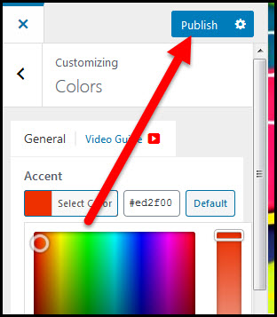 customizer publish button