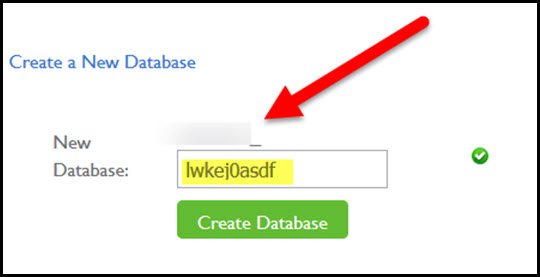 database name field