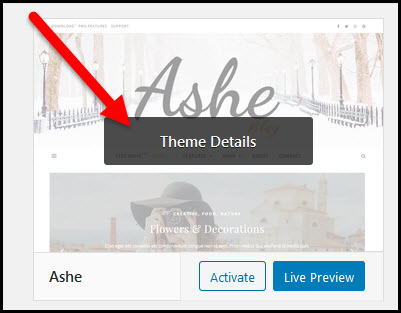 theme details button