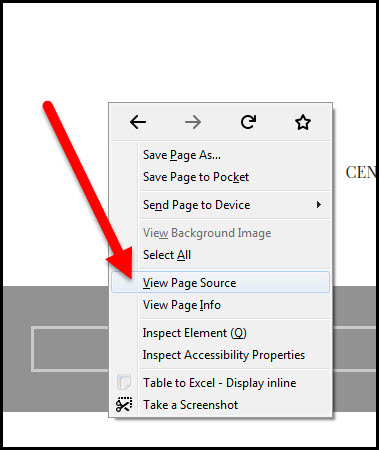 view page source option