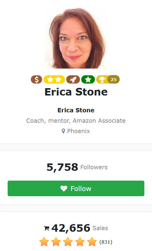 erica stone customer ratings 072022